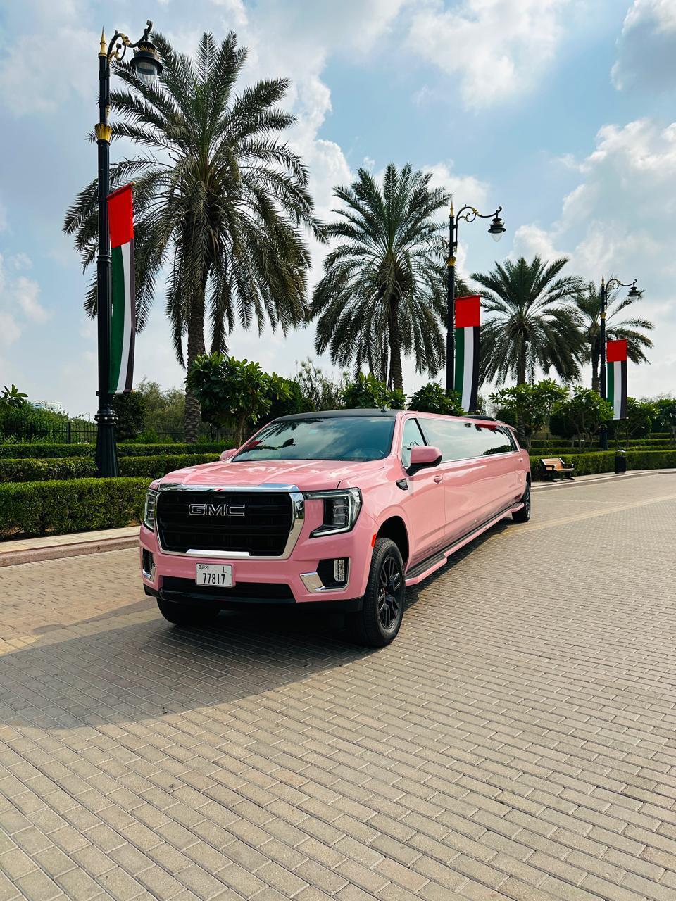 GMC Pink Panthar Limousine - Image 5