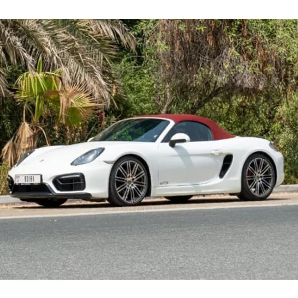 Porsche 718 Boxster GTS - Image 2
