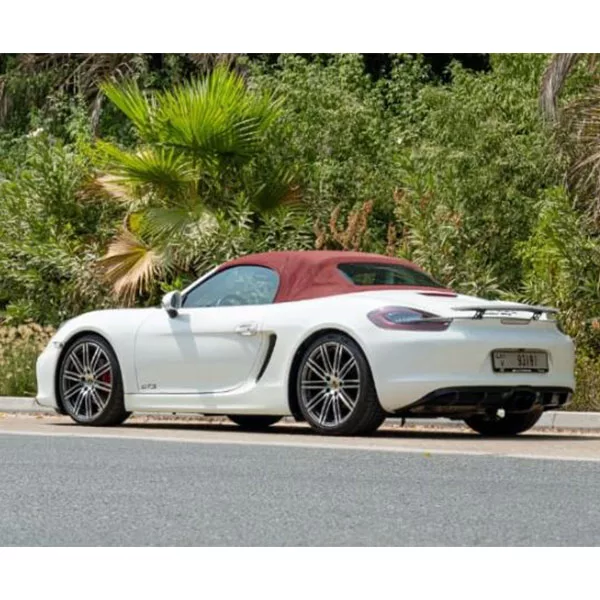 Porsche 718 Boxster GTS - Image 3